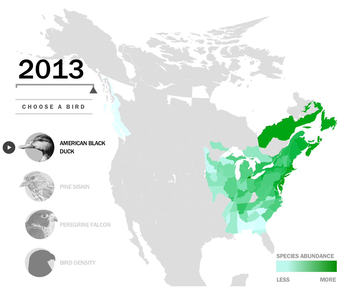 3 Birds Tell History Of Climate Change | Time