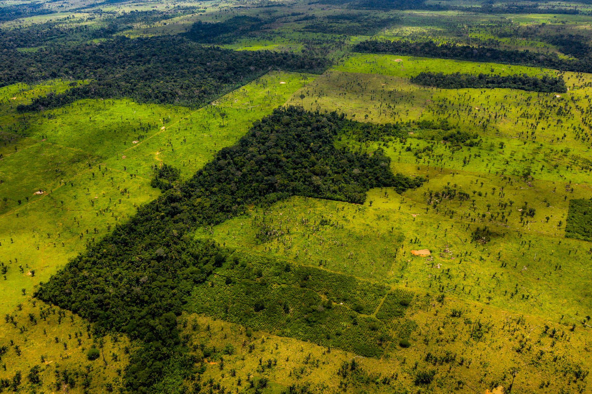 why-is-the-amazon-rain-forest-disappearing-time