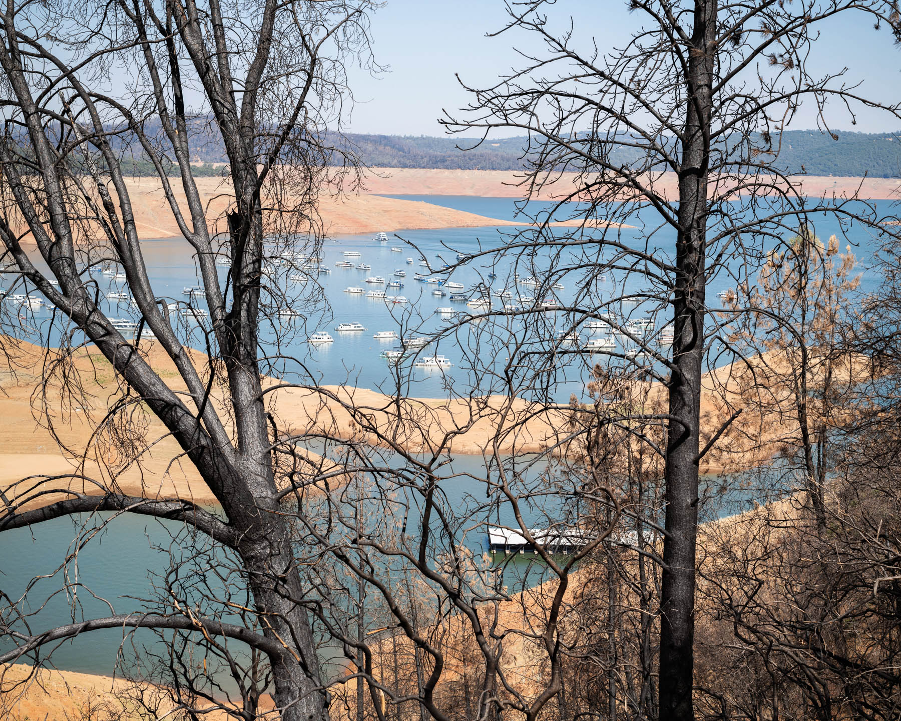 A view of the lake through trees burned during a previous fire season on July 2, when the elevation was recorded at about 680 ft. above sea level. California's water resources department [stated](https://water.ca.gov/News/Blog/2021/August/Oroville-Update-8-6-21) 