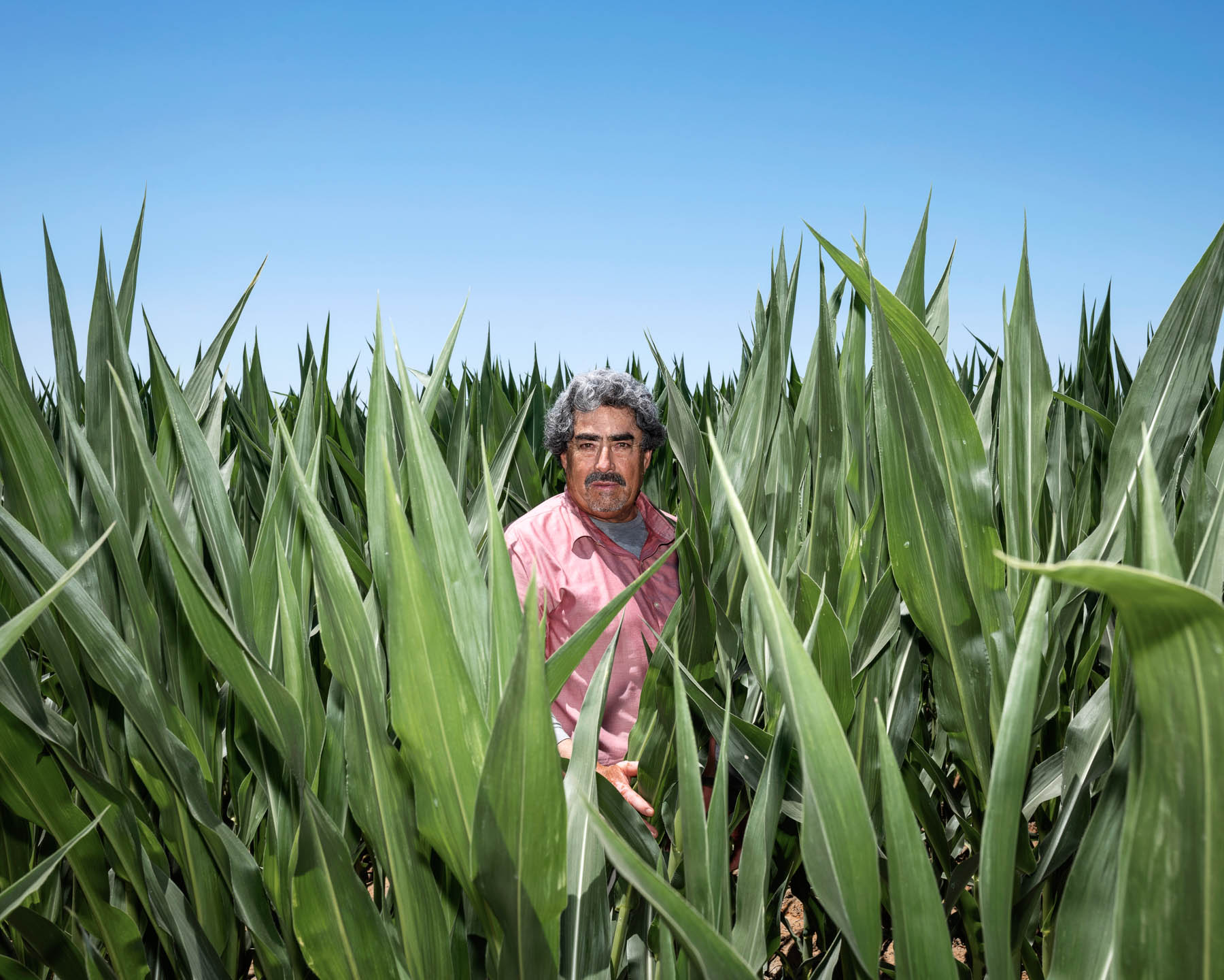 Guillermo Gomez, a U.S. resident born in Mexico, stands for a portrait in a field on Jer-Z-Boyz Ranch, where he makes his living as an irrigation worker, on July 4. Gomez has worked in this area for the past 24 years. 